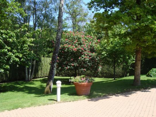 entretien jardin entretien jardin