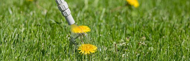 jardinier a domicile deduction fiscale
