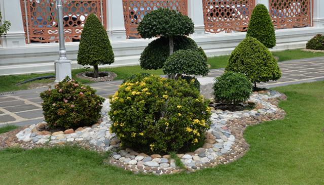 Création jardin