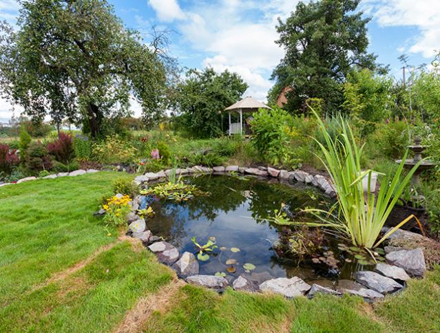 Création bassin jardin