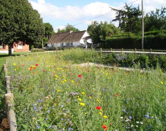 Fleurissement par Louvet Opale Paysages