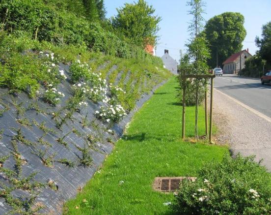 Travaux de plantations dans la commune de Wailly-Beaucamp