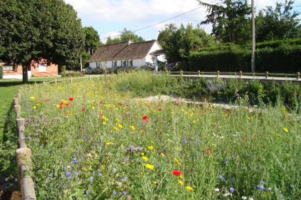 Fleurissement par Louvet Opale Paysages