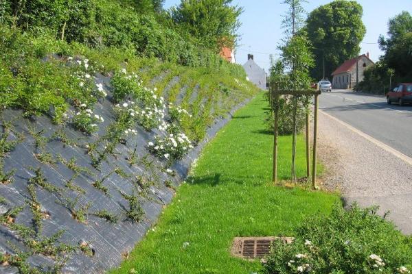 Travaux de plantations dans la commune de Wailly-Beaucamp