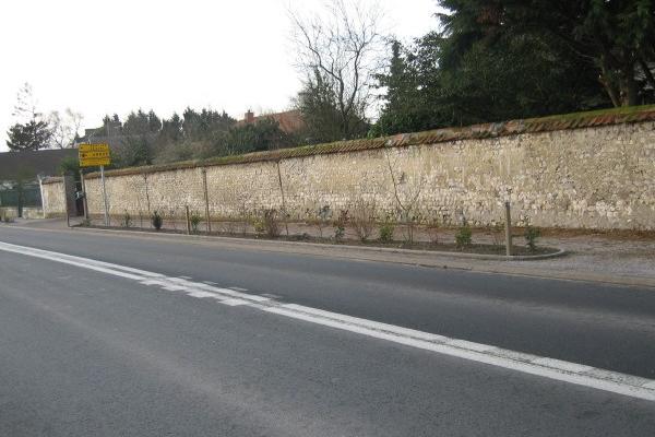 Plantations Commune de Wailly-Beaucamp
