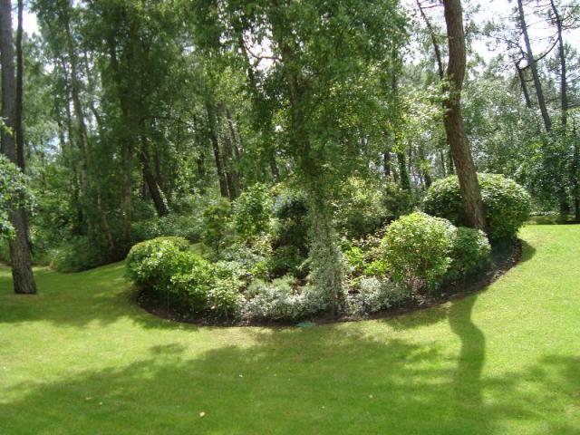 Entretien de jardin