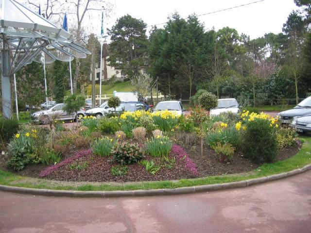 Fleurissement printemps
