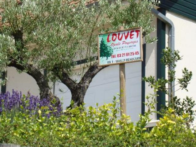 Réalisation de plantations