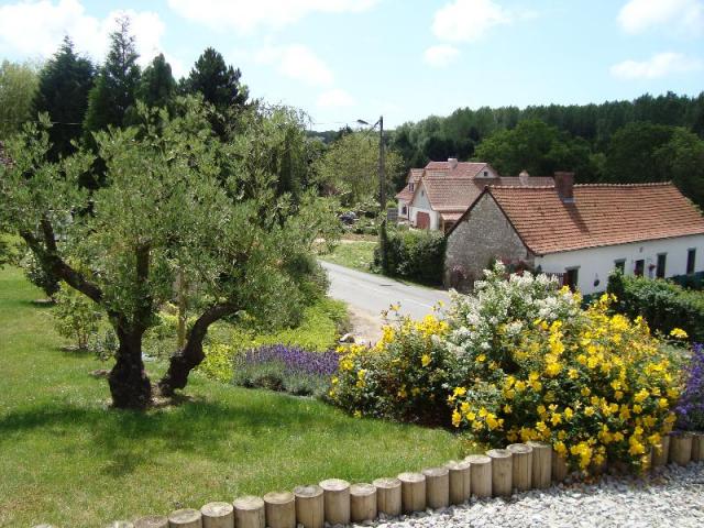 Réalisation de plantations