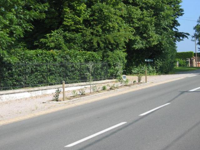 Plantations Commune de Wailly-Beaucamp