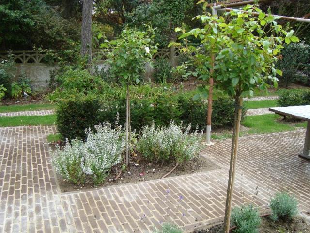 Plantations