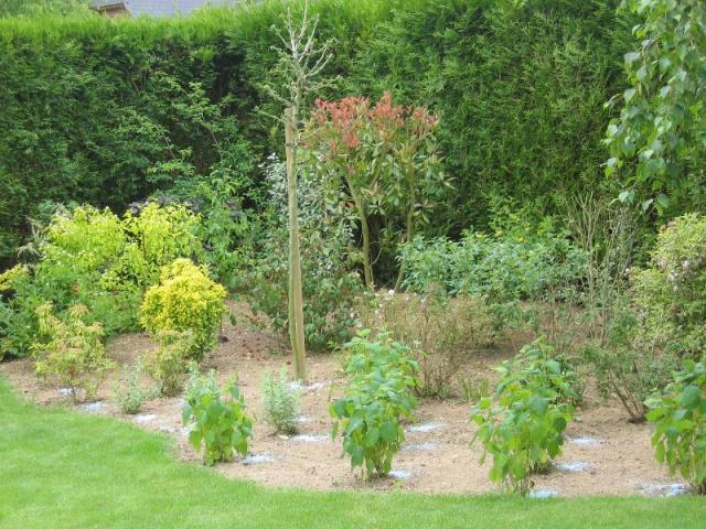 Plantations