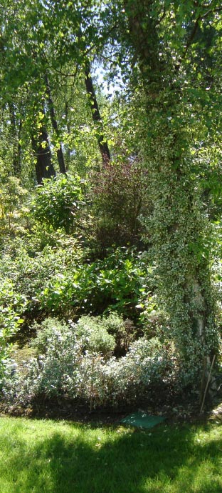 Création de Jardin en Côte d'Opale