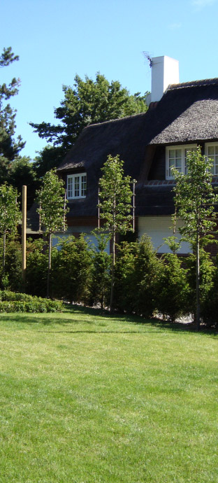 Création de Jardin en Côte d'Opale